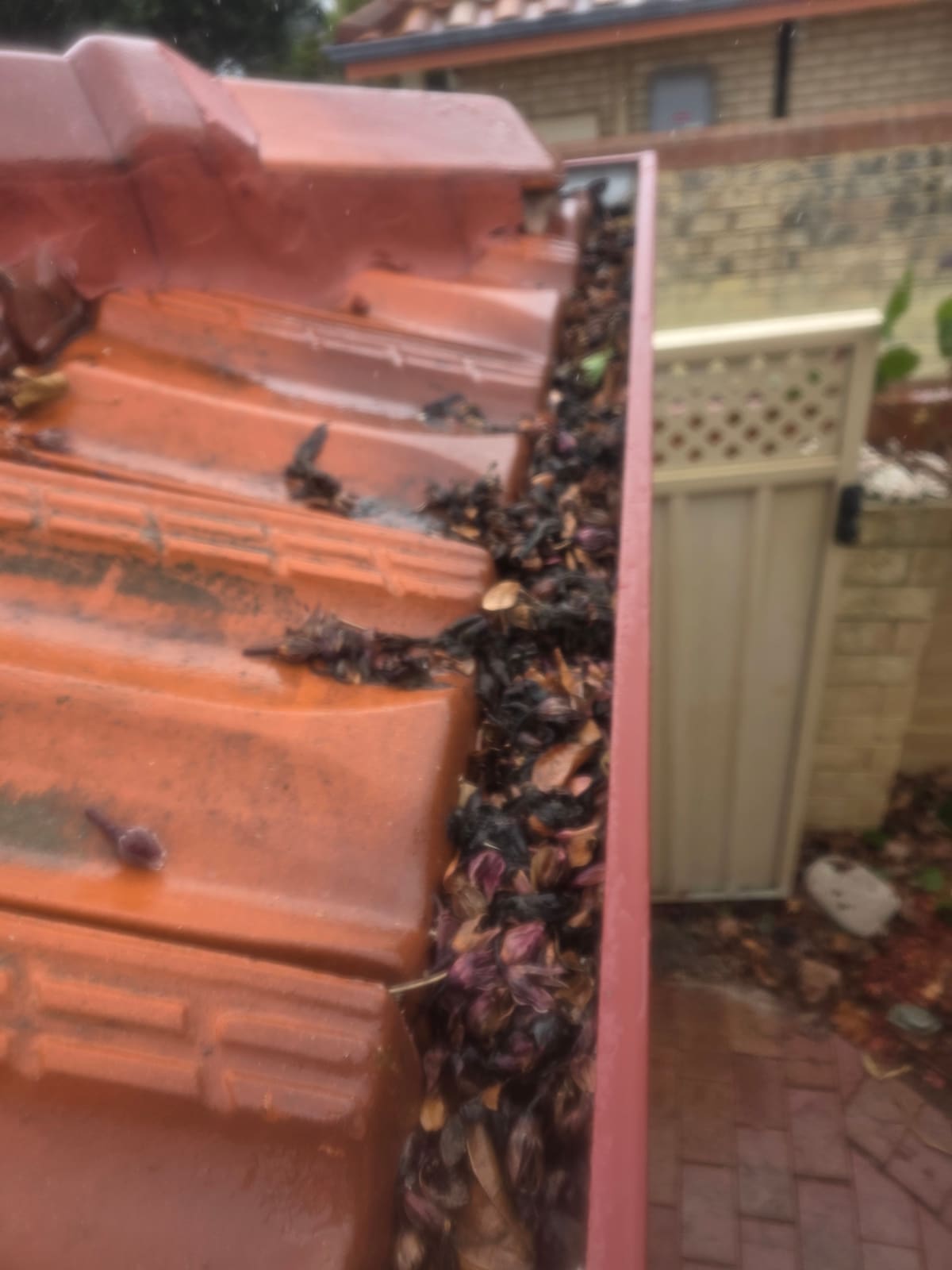 Beldon gutter maintenance proof before